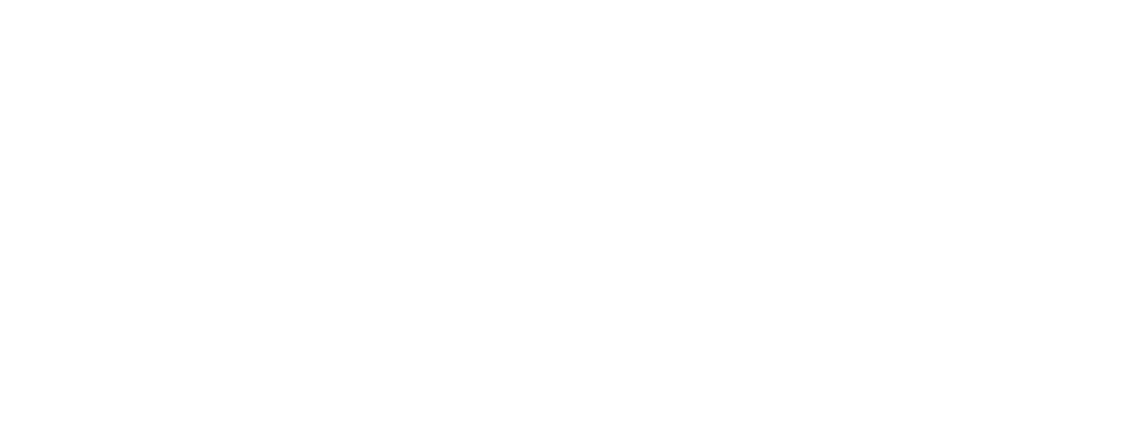 CFS Logo